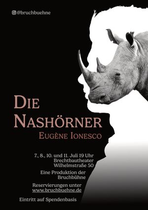 Die Nashörner Poster